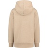 Lucky Brand Boys’ Long Sleeve Fleece Pull-over Hoodie, Comfortable, Relaxed Fit With Kangaroo Pockets(Flag Cornstalk Heather)