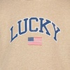 Lucky Brand Boys’ Long Sleeve Fleece Pull-over Hoodie, Comfortable, Relaxed Fit With Kangaroo Pockets(Flag Cornstalk Heather)